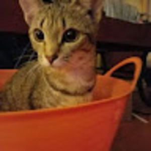 Meet your Posher, Marlene